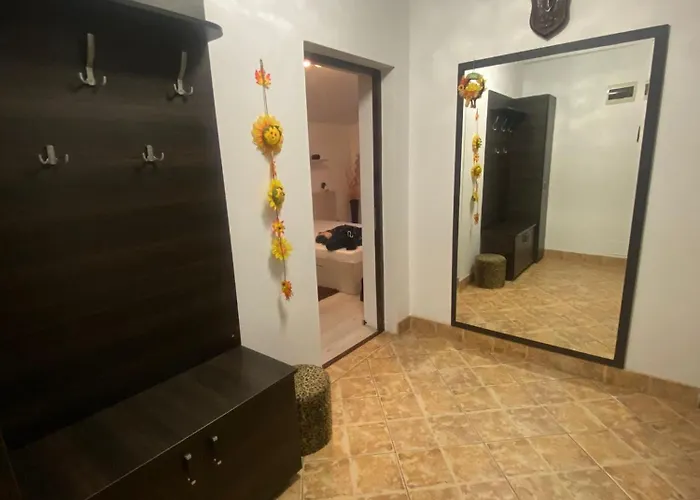 Liza Apartament Cluj-Napoca