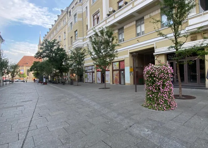 Central studio flat Cluj Napoca