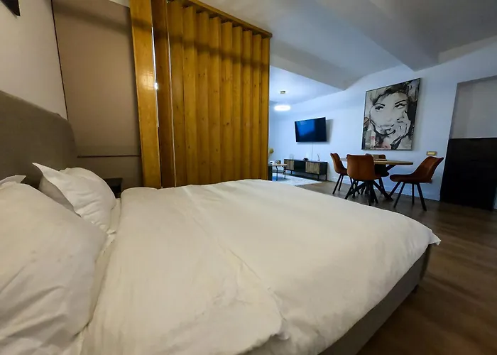 Apartament 1 Ultra Central Cluj-Napoca