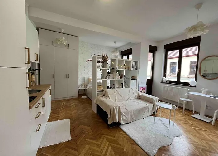 Beautiful Ultracentral Apartments Cluj-Napoca