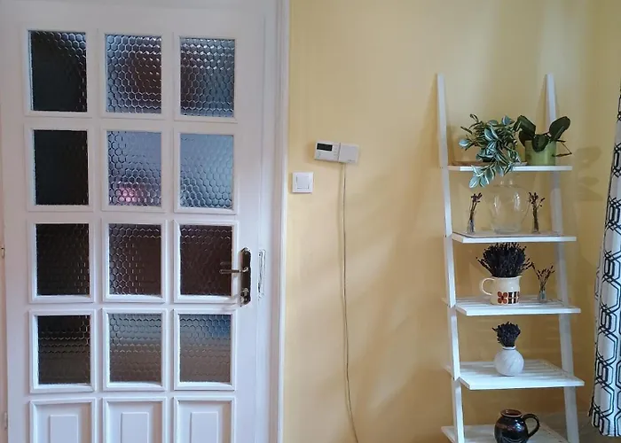 Central decent cozy apartament Cluj-Napoca