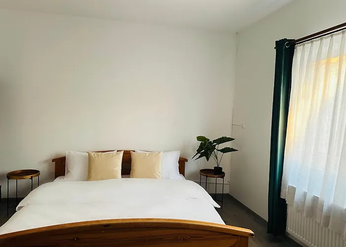 Wood & Moss Apartment - Central - Free Parking - Nice Garden Cluj-Napoca
