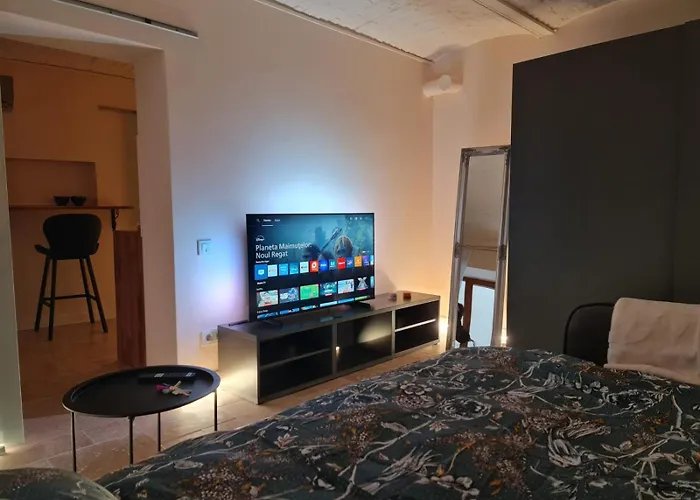 Historical ultracentral apartment Cluj-Napoca