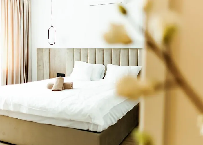 Aparthotel Cluj by SBM - Câmpina #11