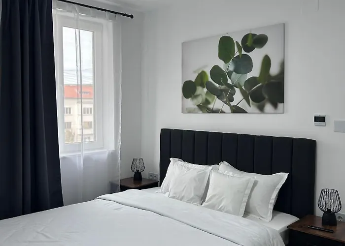 Ultracentral Apartment In The Heart Of Cluj
