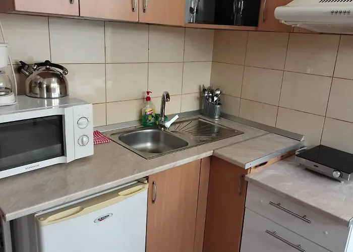 Center Park Apartment Cluj-Napoca