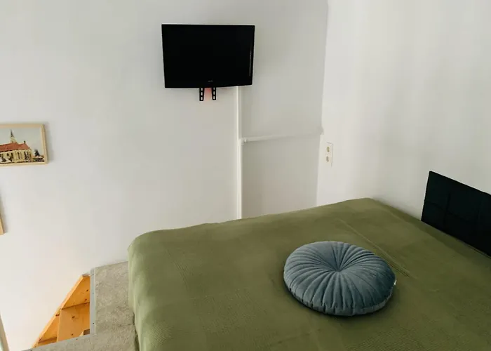 Central Cozy Apartment Cluj-Napoca