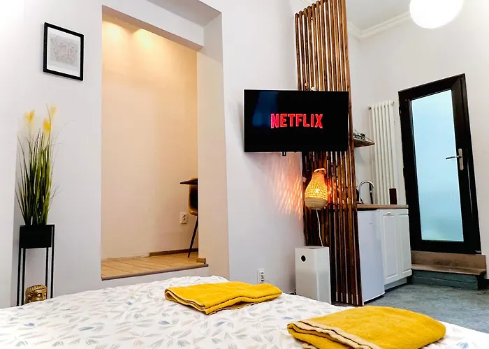 Luxury Ultacental Apartament Cluj-Napoca
