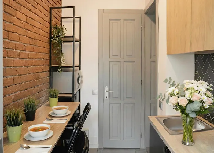 Central House Studio Cluj