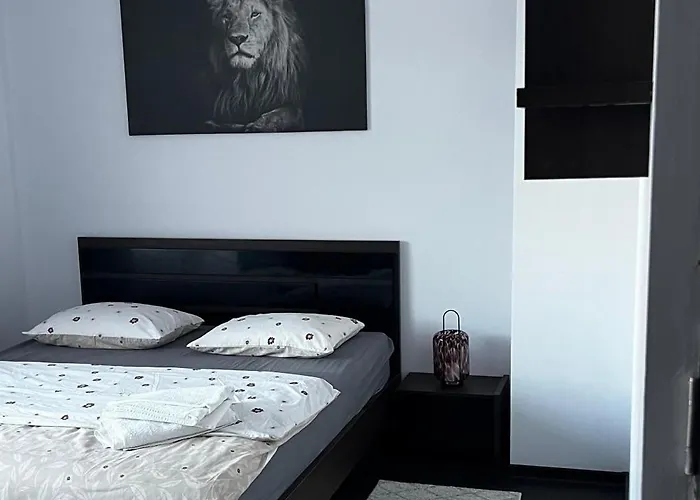 Scc2 Apartments Cluj-Napoca