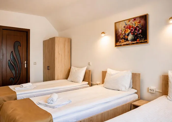 Casa Darius Cluj Apartment