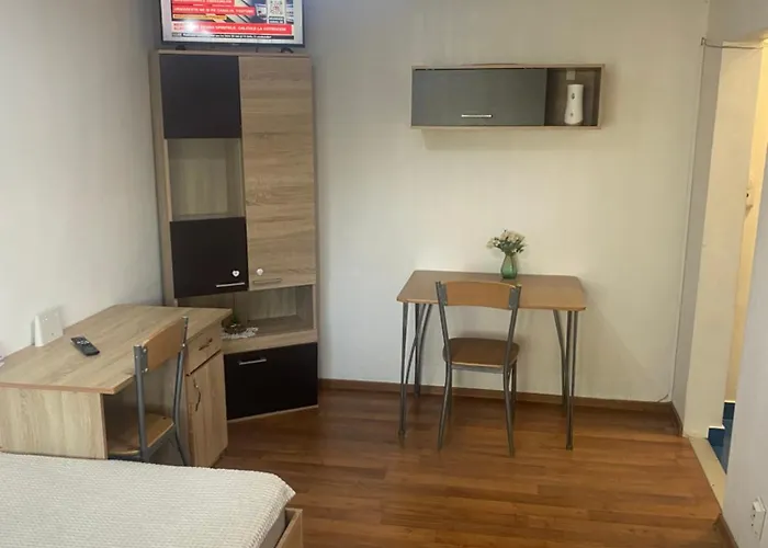 Garsoniera Garii Apartment Cluj-Napoca