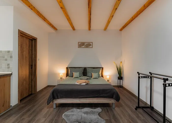 The Dom 21 Apartment Cluj-Napoca
