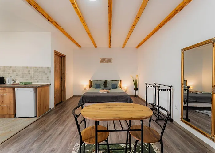The Dom 21 Apartment Cluj-Napoca