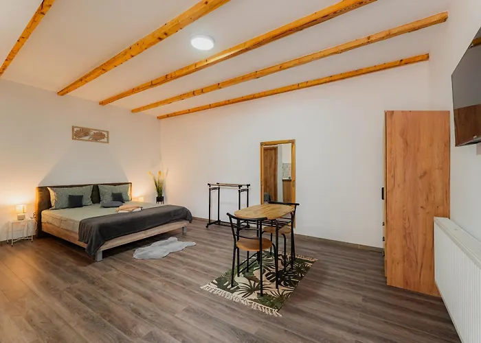 The Dom 21 Apartment Cluj-Napoca