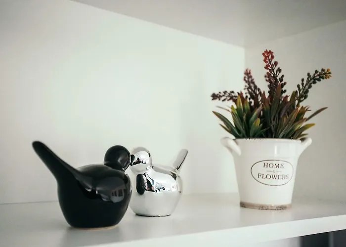 Briana Luxury Apartment Cluj-Napoca