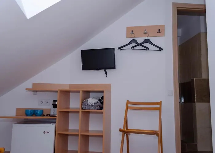 Mansarda mica cu baie proprie Apartment Cluj-Napoca