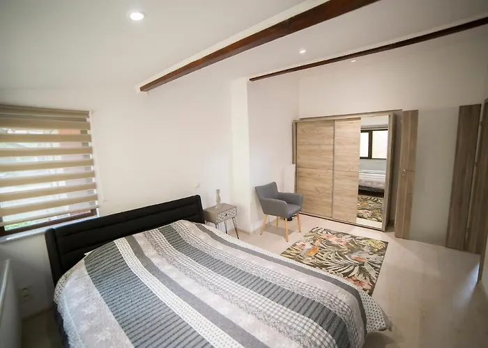 Central Apartment Shumi 69 Cluj-Napoca
